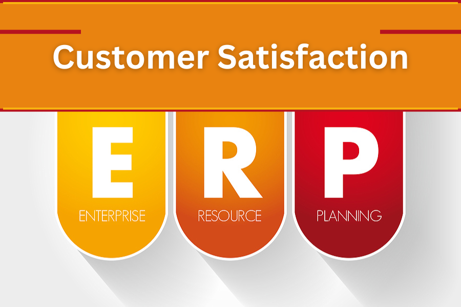 Tabs with ERP and Customer Satisfaction above. ERP systems